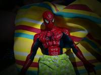 "Relax at the Beach" Spiderman (Marvel Icon) Custom Action Figure