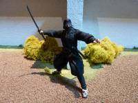 Historical Shinobi (G.I. Joe) Custom Action Figure