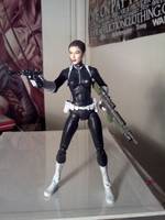 Maria Hill and Sharon Carter (Marvel Legends) Custom Action Figure