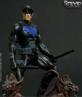 Nightwing  Young Justice (DC Universe) Custom Action Figure