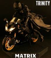 Trinity (Matrix) Custom Action Figure
