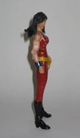Donna Troy - Wonder Girl (DC Universe) Custom Action Figure