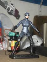 Catwoman (Batman - Legends of the Dark Knight) Custom Action Figure