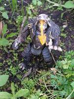 Dragon Man (Medieval Knights) Custom Action Figure