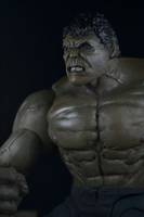 The Avengers Hulk Custom Figure (Avengers) Custom Action Figure