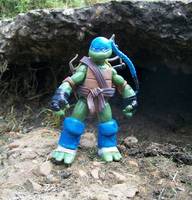 Venus (Teenage Mutant Ninja Turtles) Custom Action Figure