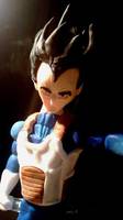 Dragon Ball Z Vegeta (Dragonball Z) Custom Action Figure