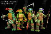 Teenage Mutant Ninja Turtles Figure Set (Teenage Mutant Ninja Turtles) Custom Action Figure