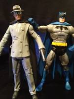 The Grey Ghost (DC Universe) Custom Action Figure