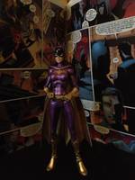 60's Batgirl (DC Universe) Custom Action Figure