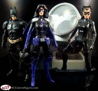 Huntress Dark Knight Rises (DC Universe) Custom Action Figure