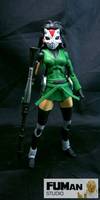 DC Young Justice Animated Cheshire (DC Universe) Custom Action Figure