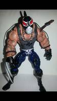 Bane: the Man Who Broke the Bat (Batman) Custom Action Figure