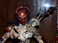 Predator Warrior (Predator) Custom Action Figure