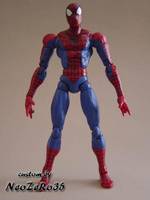 Spider-Man (Spider-Man) Custom Action Figure