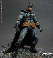 Batman (DC Universe) Custom Action Figure