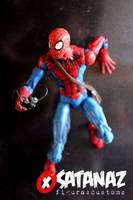 Spiderman (Marvel Legends) Custom Action Figure
