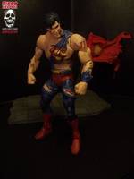 Superman: Doomsday (DC Universe) Custom Action Figure