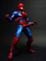 Codpiece (DC Universe) Custom Action Figure