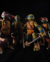 Teenage Mutant Ninja Turtles (Teenage Mutant Ninja Turtles) Custom Action Figure
