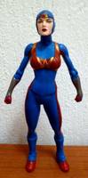 Wonder Woman Wetsuit (Wonder Woman) Custom Action Figure