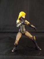 Black Canary (DC Universe) Custom Action Figure