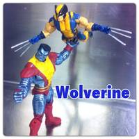 Wolverine (Marvel Universe) Custom Action Figure
