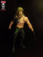 Aquaman Version 2 (DC Universe) Custom Action Figure