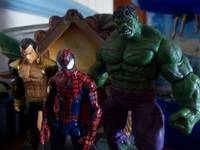 The Incredible Hulk (Marvel Universe) Custom Action Figure