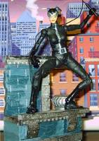 Catwoman (DC Direct) Custom Action Figure