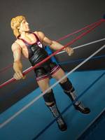 Owen Hart (Wrestling) Custom Action Figure