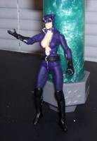 Catwoman (Mortal Kombat vs. DC Universe) Custom Action Figure