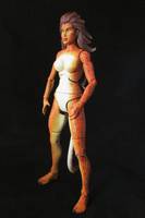 Cheetah (Nude Variant) (DC Universe) Custom Action Figure