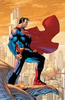 Superman (DC Infinite Heroes) Custom Action Figure