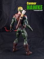 Connor Hawke (DC Universe) Custom Action Figure
