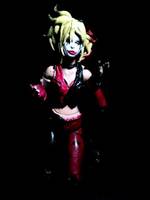 Harley Quinn (DC Universe) Custom Action Figure