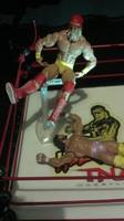 WWE Elite Hulk Hogan (Wrestling) Custom Action Figure