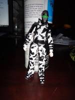 Arctic Snake Eyes (G.I. Joe Rise of Cobra) Custom Action Figure