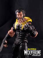 Age of Ultron Wolverine (Marvel Legends) Custom Action Figure