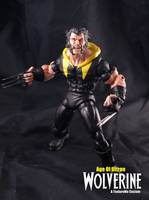 Age of Ultron Wolverine (Marvel Legends) Custom Action Figure