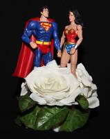 Wedding Cake Topper (DC Superheroes) Custom Action Figure