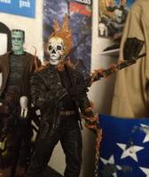 Ghost Rider V2 (Ghost Rider) Custom Action Figure