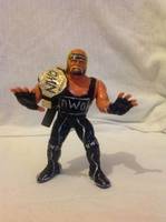 Hollywood / Hulk Hogan (Wrestling) Custom Action Figure