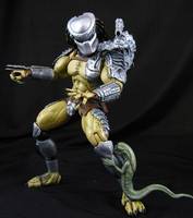 Warrior Predator (Alien vs Predator) Custom Action Figure