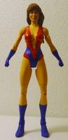 CAPTAIN TRIUMPH II Freedom Fighters & the Crusaders (DC Universe) Custom Action Figure
