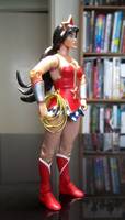 MOTU Wonder Woman (Masters of the Universe) Custom Action Figure
