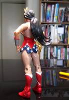 MOTU Wonder Woman (Masters of the Universe) Custom Action Figure