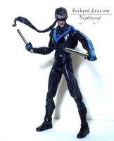 Nightwing (Batman) Custom Action Figure