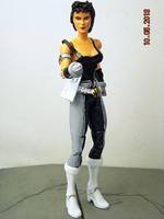 Celeste Mccauley (DC Universe) Custom Action Figure