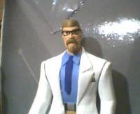 Prof. Hamilton (Justice League Unlimited) Custom Action Figure